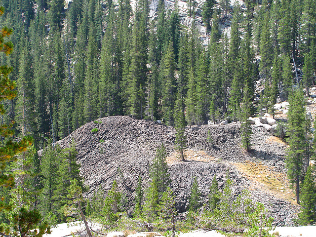 On The Trail To Glen Aulin (0623)