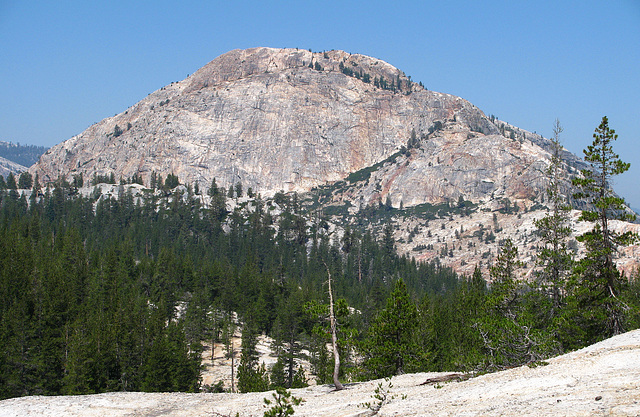 On The Trail To Glen Aulin (0624)