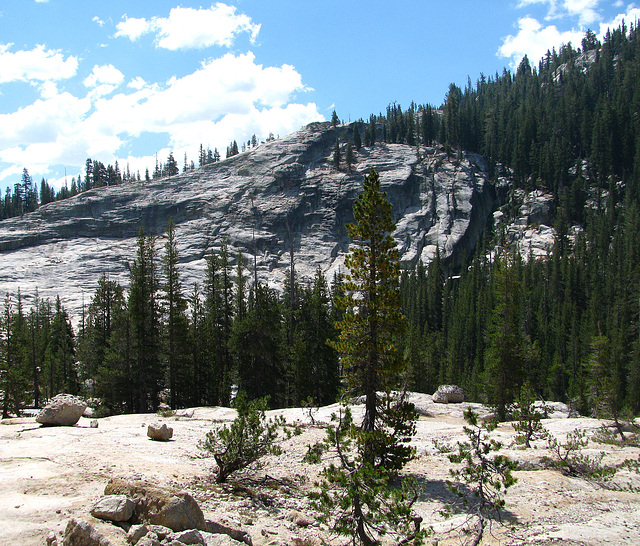 On The Trail To Glen Aulin (0625)