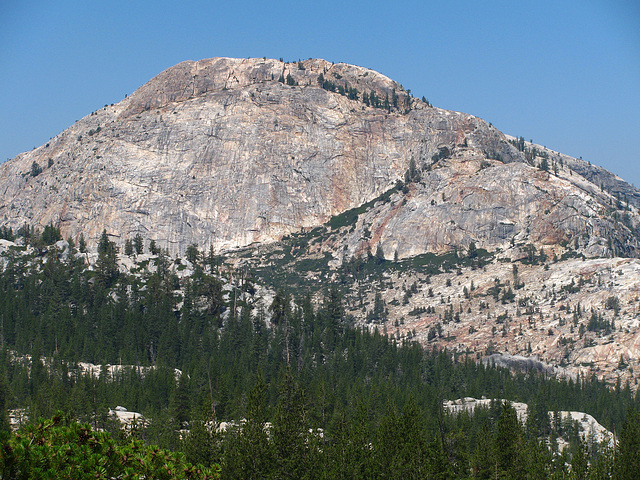 On The Trail To Glen Aulin (0632)