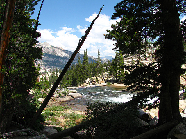 On The Trail To Glen Aulin (0643)