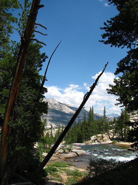 On The Trail To Glen Aulin (0644)
