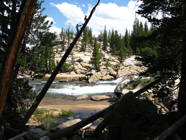 On The Trail To Glen Aulin (0647)