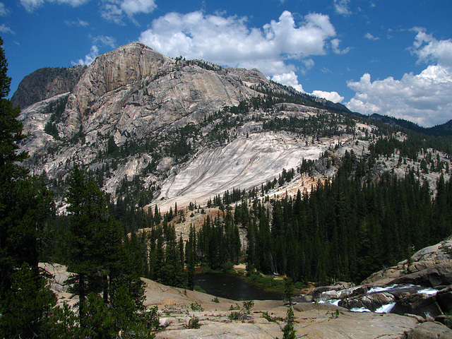 On The Trail To Glen Aulin (0660)