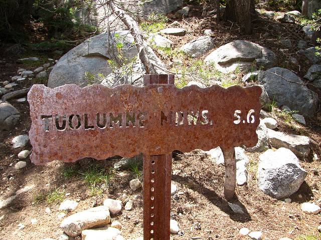 On The Trail To Glen Aulin (0662)