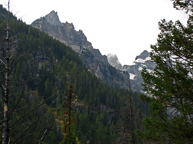 Trail to Hidden Falls (0580)