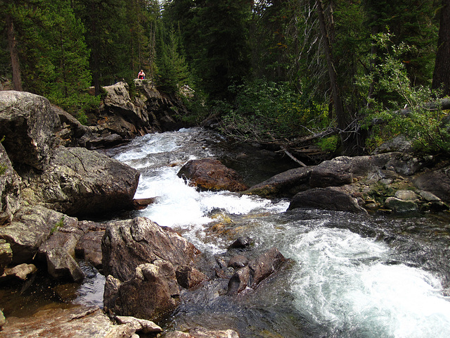 Trail to Hidden Falls (0581)