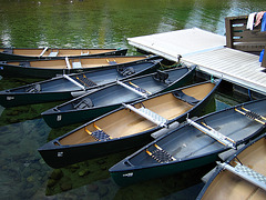 Canoes For Rent On Jenny Lake (0649)