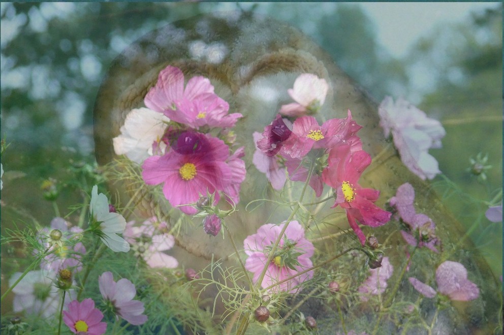 Chouette nature