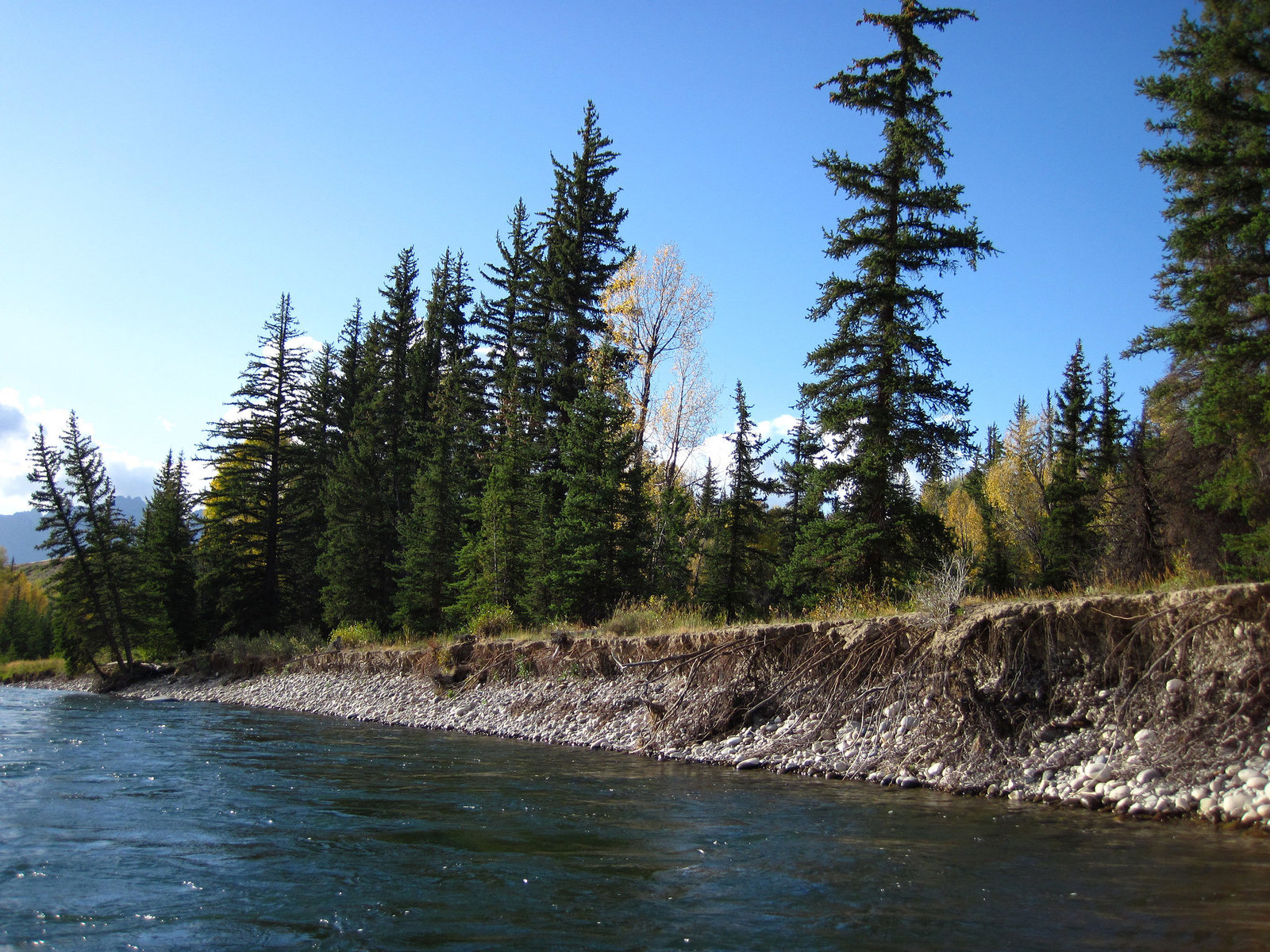 Snake River Trip (0656)