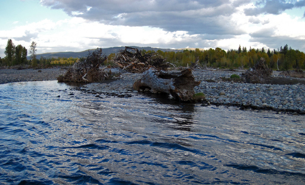 Snake River Trip (0675)