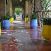 MARRAKECH JARDIN DE MAJORELLE