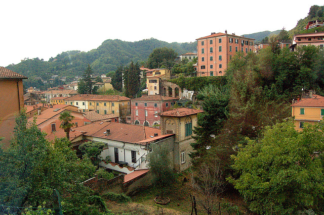Carrara