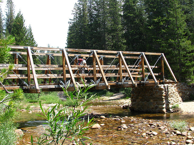 Bridge at Glen Aulin (0671)