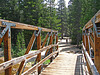 Bridge at Glen Aulin (0672)