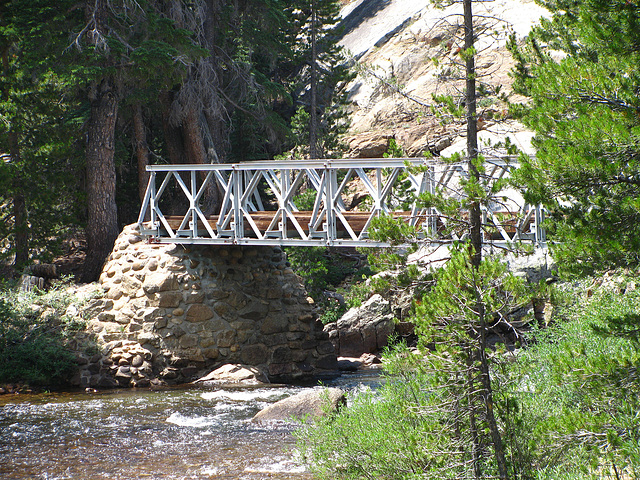 Bridge at Glen Aulin (0673)