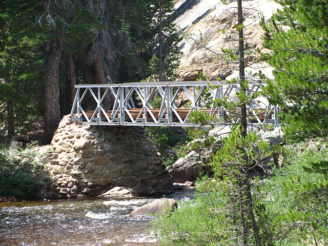 Bridge at Glen Aulin (0673)