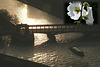 Quai de seine romantique