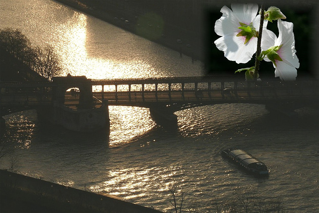 Quai de seine romantique