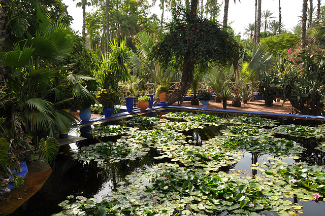 MARRAKECH JARDIN DE MAJORELLE