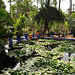 MARRAKECH JARDIN DE MAJORELLE