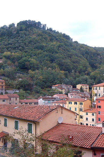 Carrara