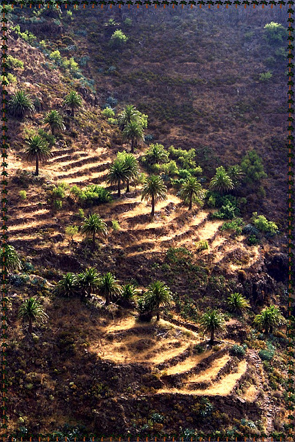 Gomera