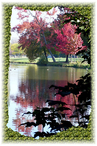 Bois de Boulogne