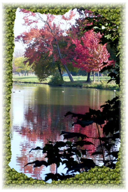 Bois de Boulogne