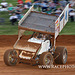 IMG 2969 copy