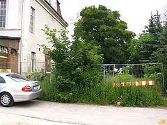 2004-06-20 141 Görlitz - Touristenheim-Garten a
