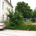 2004-06-20 141 Görlitz - Touristenheim-Garten a