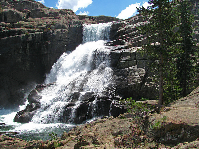 Tuolumne Falls (0654)