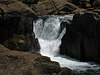 Tuolumne Falls (0659)