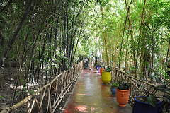 MARRAKECH JARDIN DE MAJORELLE