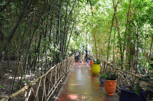 MARRAKECH JARDIN DE MAJORELLE