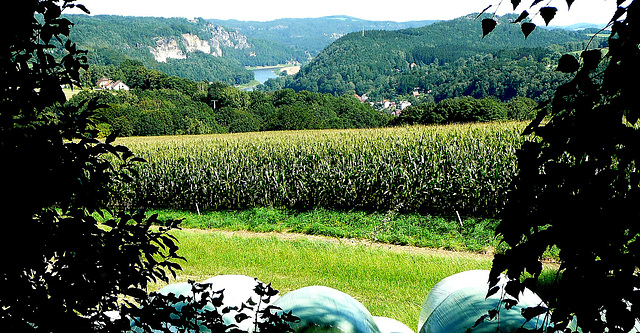 Blick auf die Bastei -