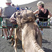 Lanzarote - Nationalpark Timanfaya