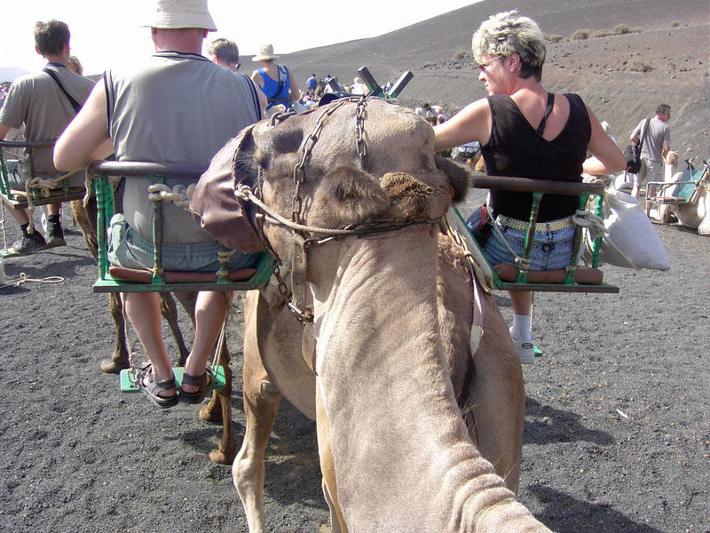 Lanzarote - Nationalpark Timanfaya