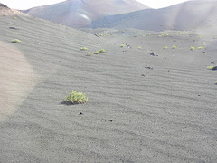 Lanzarote