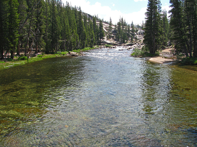 Tuolumne River (0633)