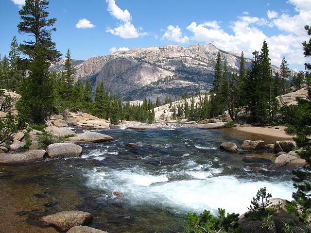 Tuolumne River (0641)