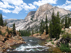 Tuolumne River (0669)