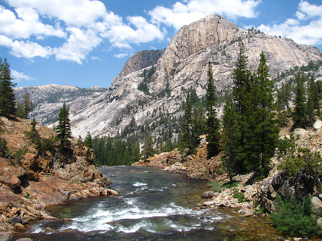 Tuolumne River (0669)