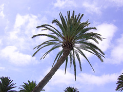 Lanzarote