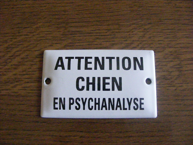 vie de chien 033