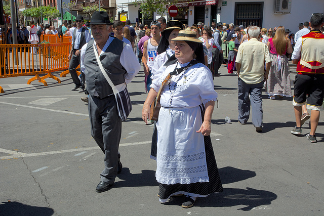 Romeria de Tegueste