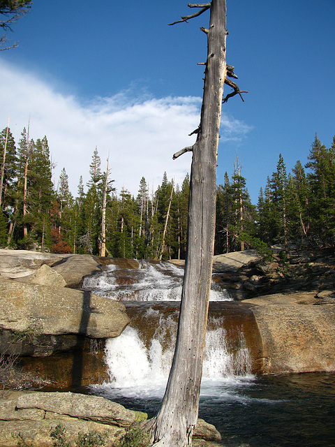 Tuolumne River at Tuolumne Meadows Lodge (0560)