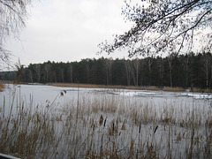 Sperenberg - Faules Luch (Torf)