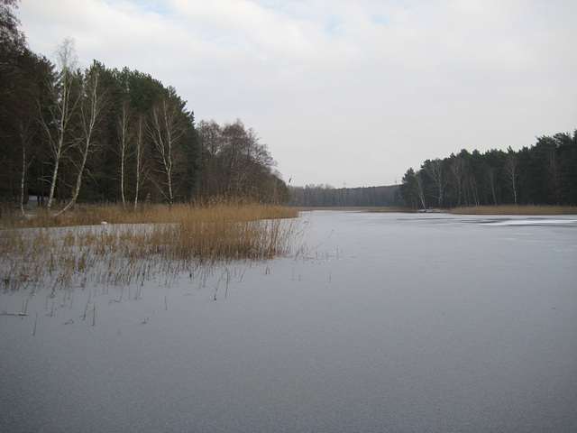 Sperenberg - Faules Luch (Torf)